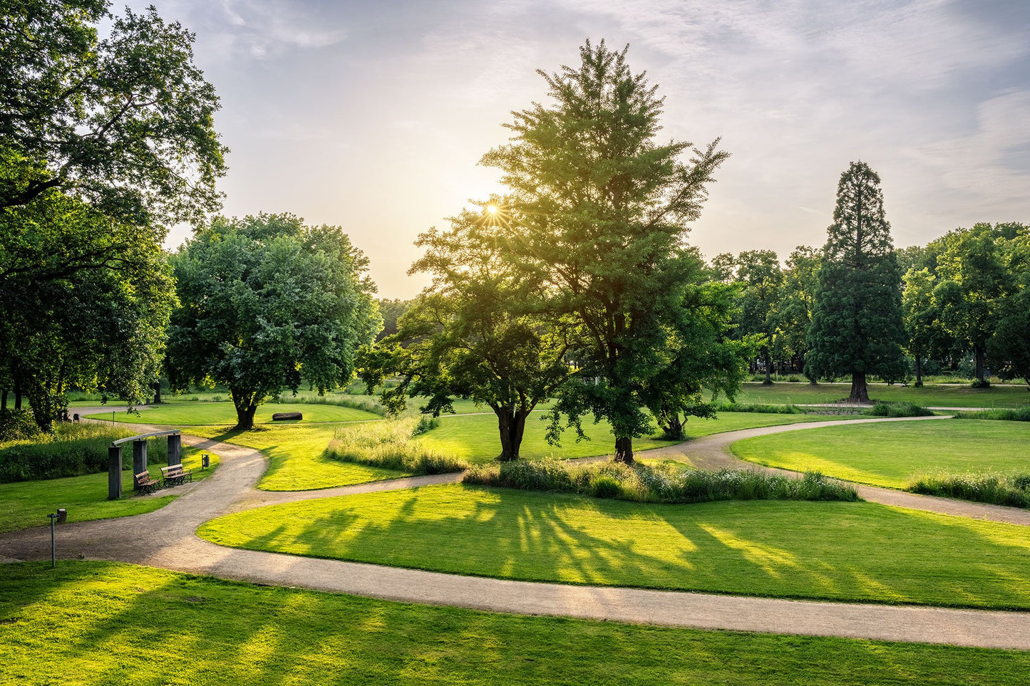 Dahliengarten zum Sonnenuntergang