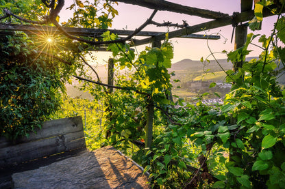 Laube in den Weinbergen