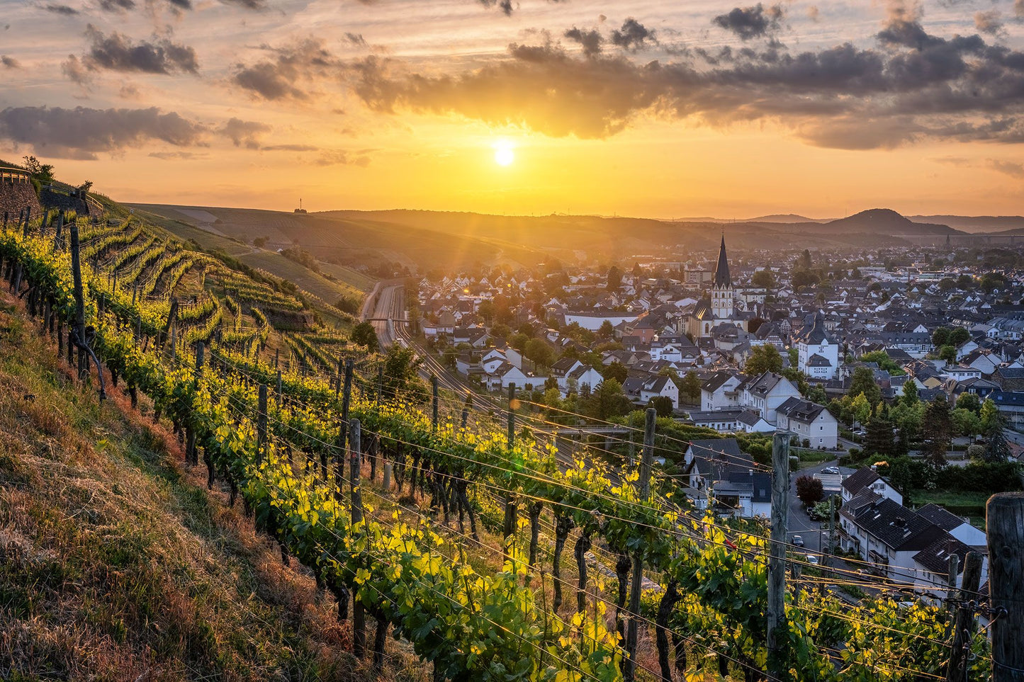 Blick auf Ahrweiler