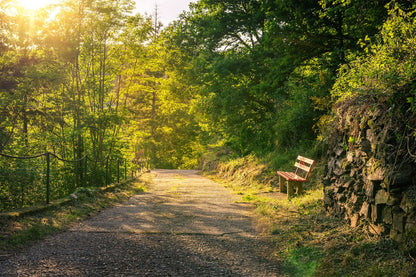 Wanderweg in Altenahr