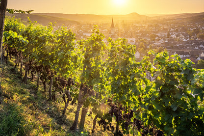 Strahlender Sonnenaufgang über Ahrweiler