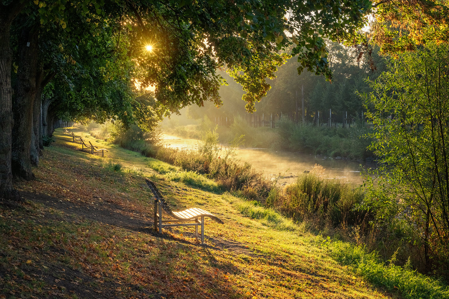Nebliger Morgen im KAV-Park