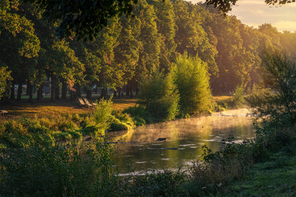 KAV-Park im goldenen Sonnenlicht