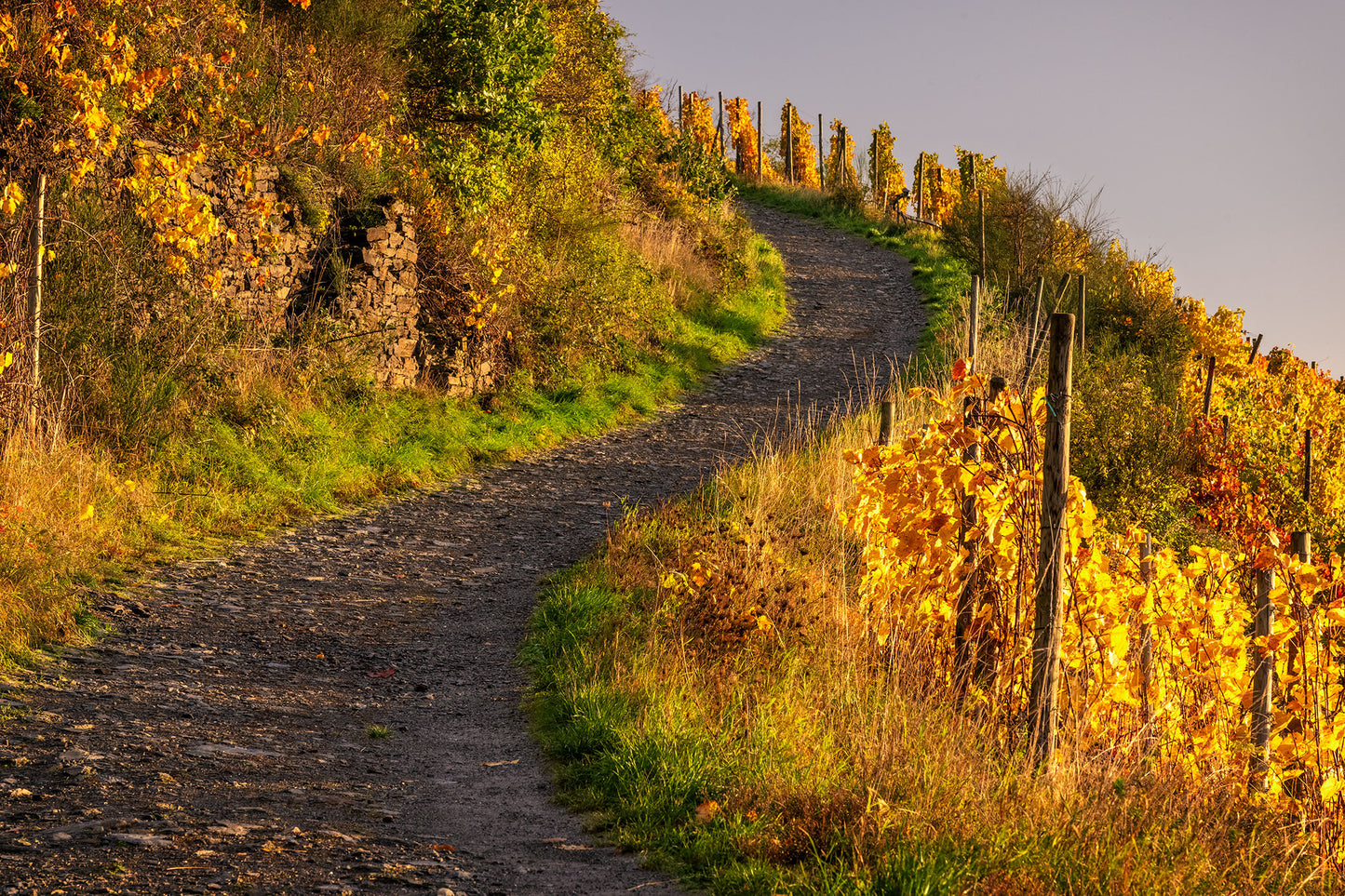 Weinbergsweg im Herbst