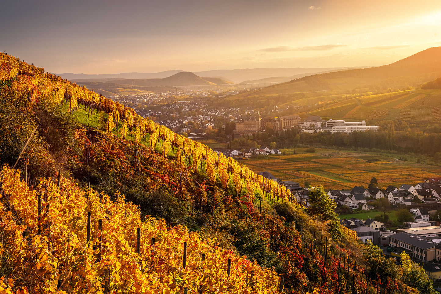 Nebliger Sonnenaufgang im Herbst in Walporzheim