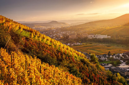 Nebliger Sonnenaufgang im Herbst in Walporzheim
