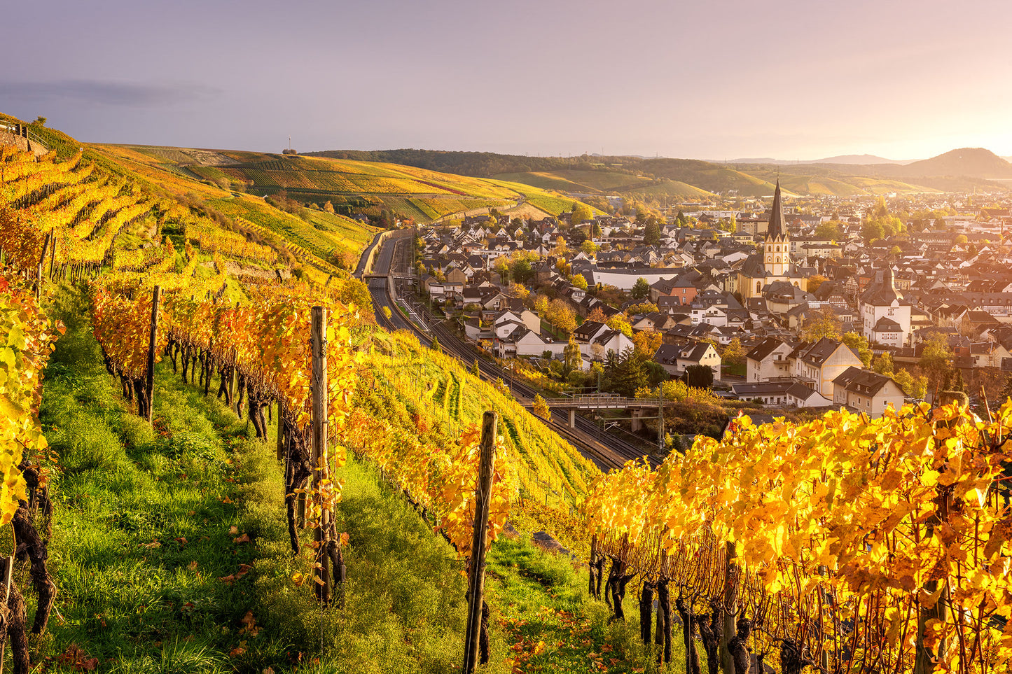 Goldene Weinberge über Ahrweiler