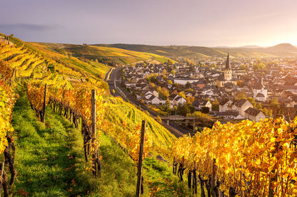 Goldene Weinberge über Ahrweiler