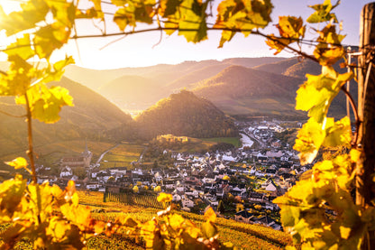 Goldenes Mayschoß im Herbst