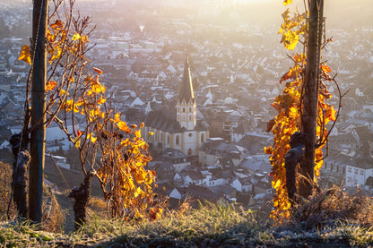 St. Laurentius in der Wintersonne