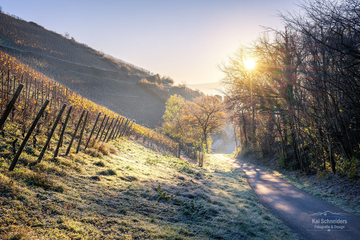Frostige Weinberge oberhalb von Ahrweiler