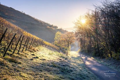 Frostige Weinberge oberhalb von Ahrweiler