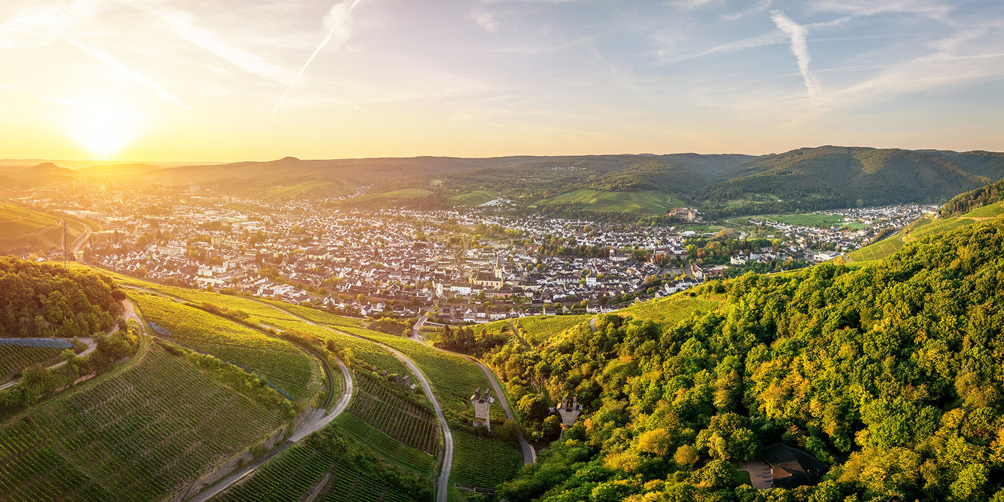 Sommerliches Panorama über Ahrweiler