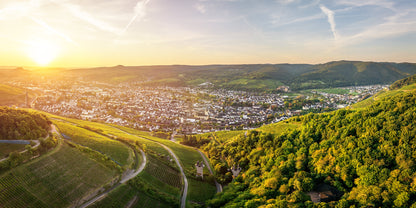 Sommerliches Panorama über Ahrweiler