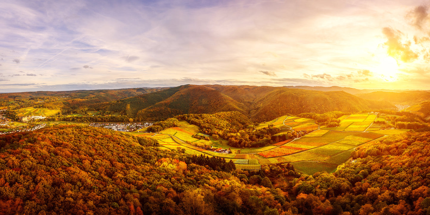Herbstliche Weinberge über Ahrweiler