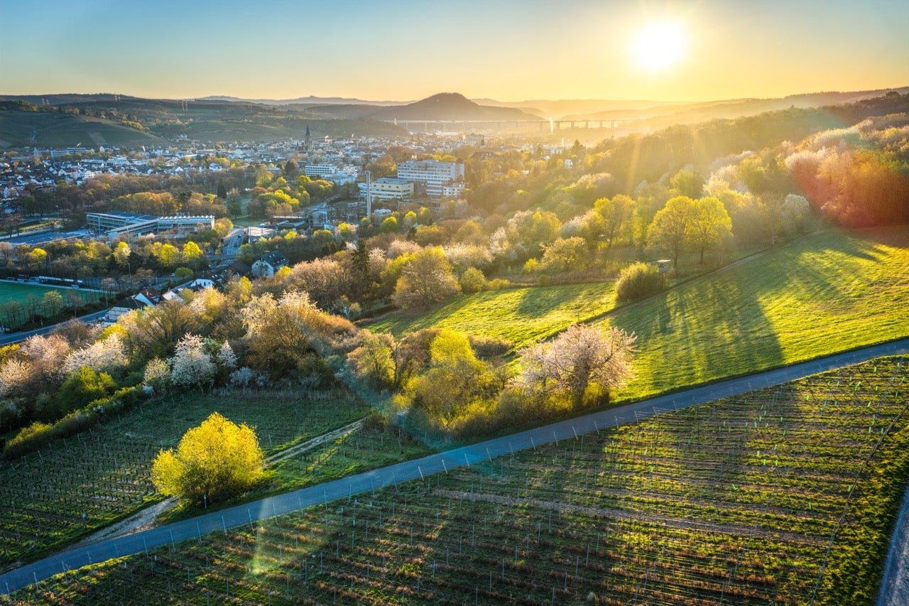 Frühlingshafter Blick nach Bad Neuenahr