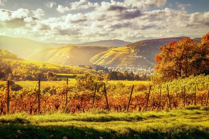 Herbstlich leuchtender Blick nach Ahrweiler