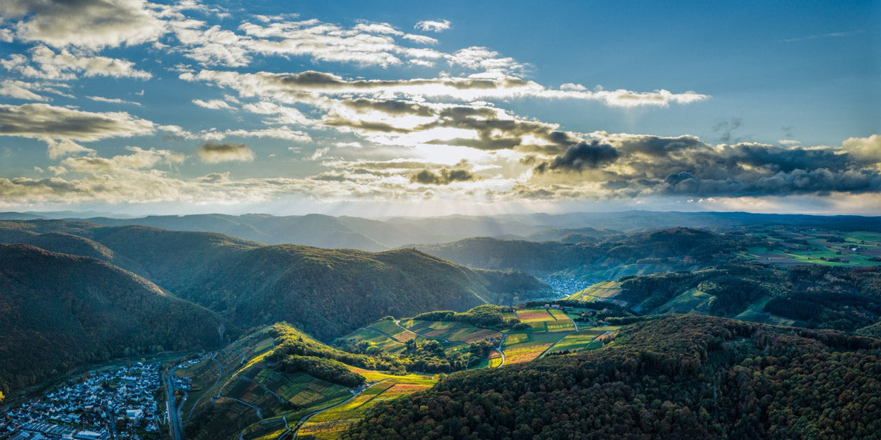 Panorama im letzten Licht über den goldenen Weinbergen